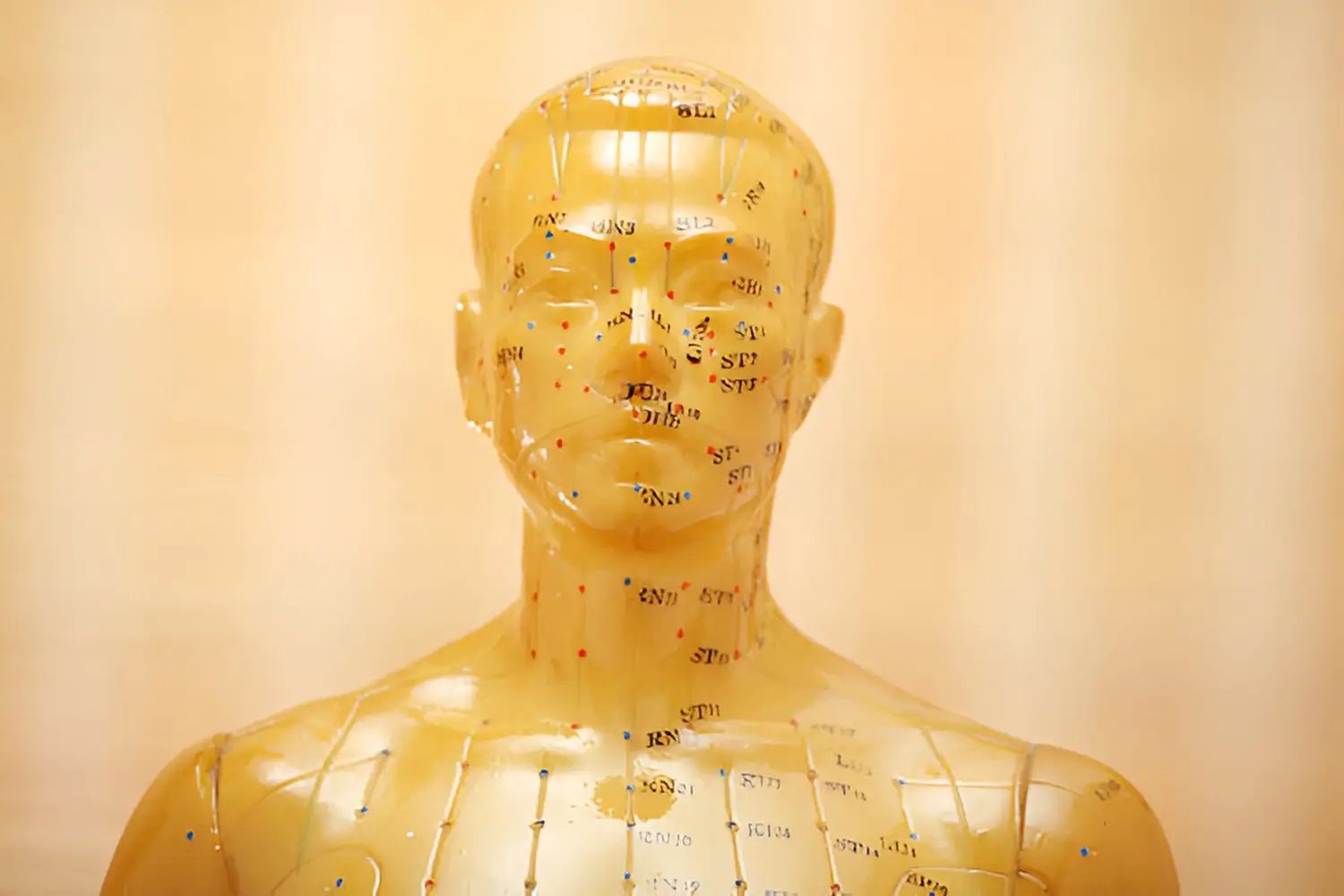 acupuncture meridians