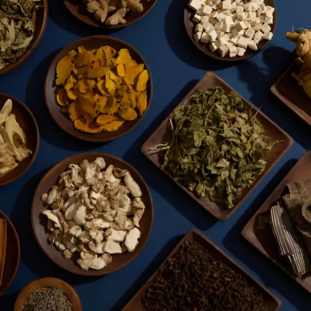 chinese herbs for fertility