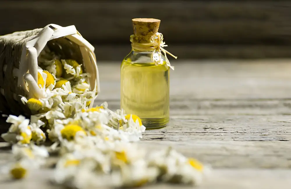 Chamomile Oil