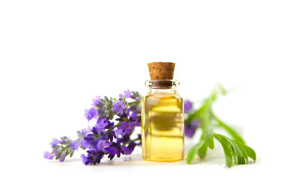 Lavender Oil