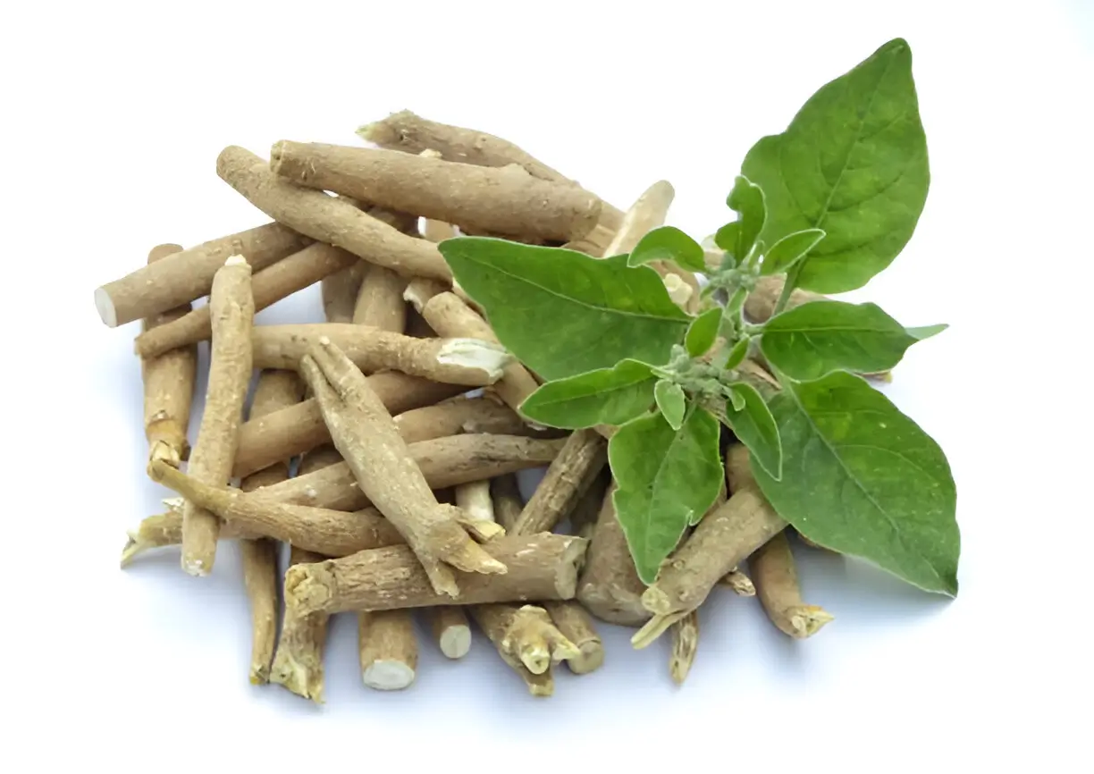 Ashwagandha