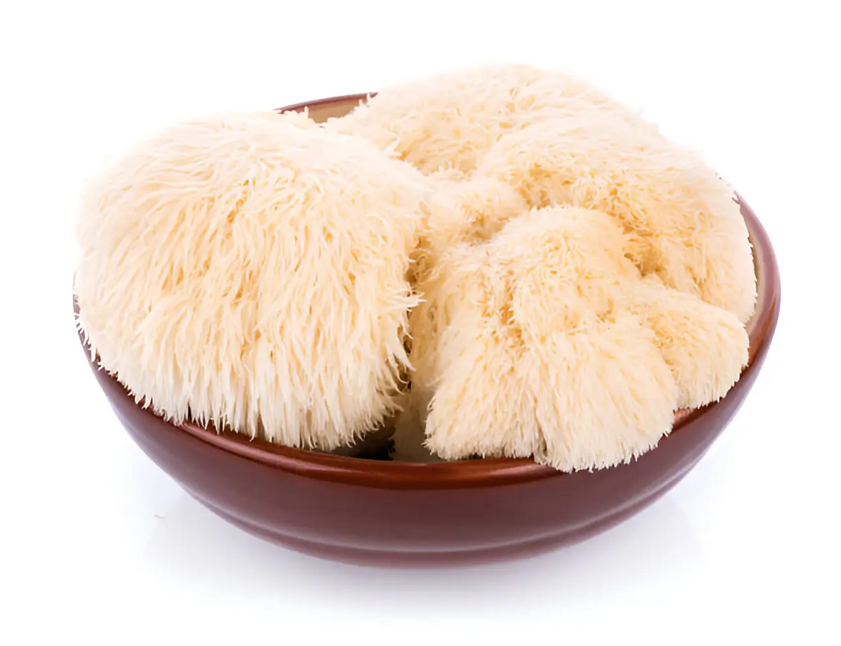 Lion’s Mane Mushroom