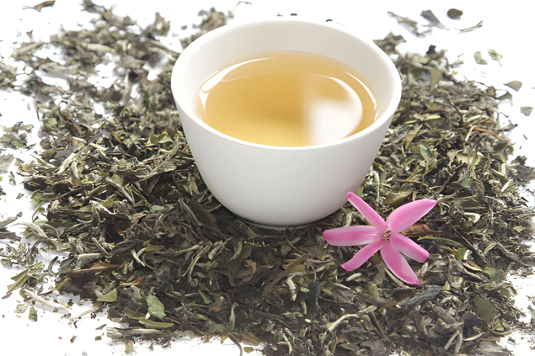 benefits of white tea