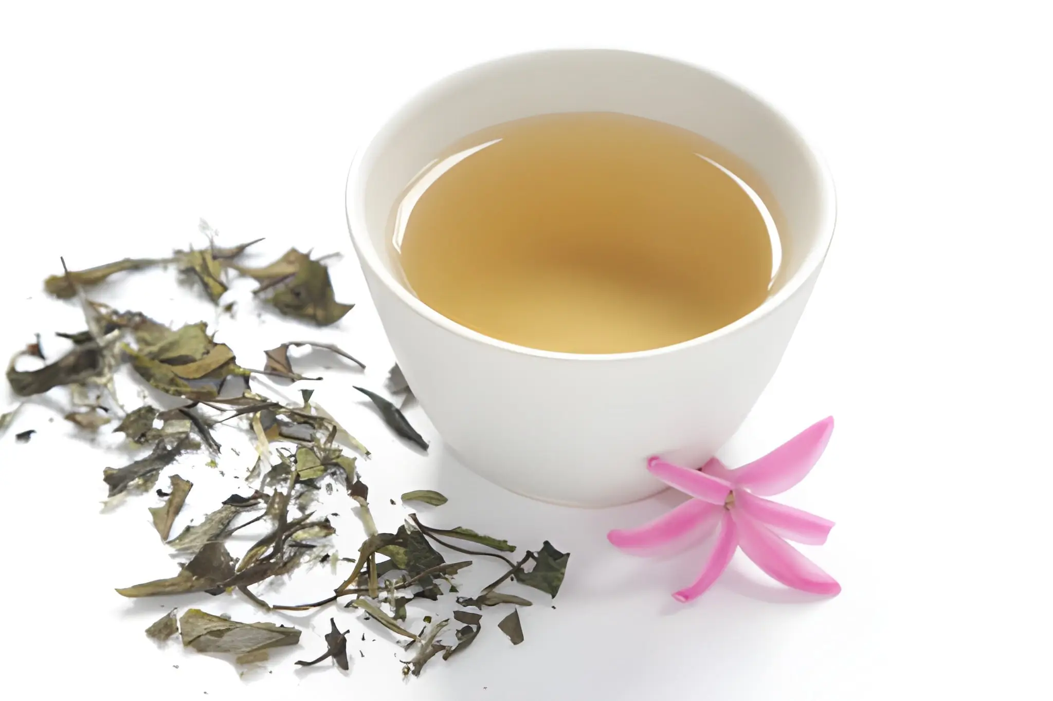 white tea benefits